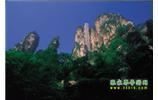 網(wǎng)絡熱門純玩游：張家界、天子山、袁家界、楊家界 自助三日游