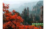 春節(jié)期間：張家界、天子山、金鞭溪自駕車精華精品游