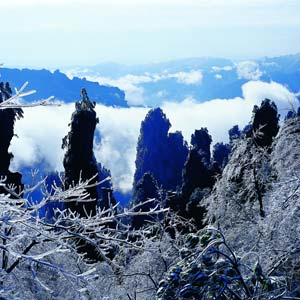 LD線：張家界、天子山、楊家界、猛洞河漂流純玩四日游