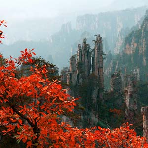 休閑自駕E線：張家界、袁家界、天子山、寶峰湖、鳳凰古城、沱江泛舟四晚五日游