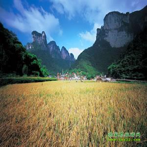 張家界往返純玩散拼：矮寨大橋、德夯苗寨、鳳凰古城、芙蓉鎮(zhèn)二日游